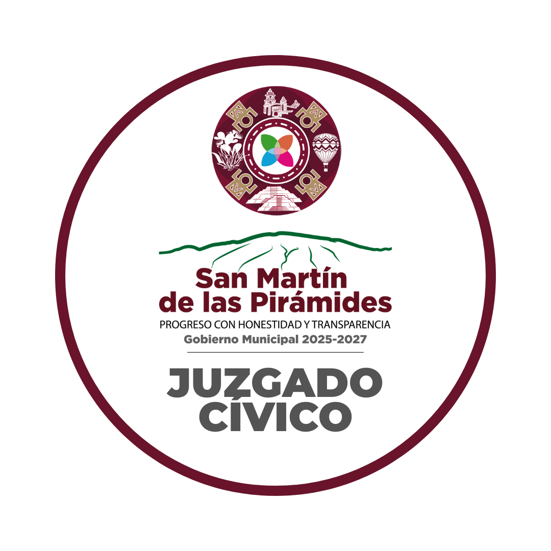 Juzgado Cívico